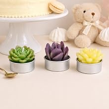 AIXIANG Succulent Tealight Candles in Kraft Gift Box · 6 Pack — product detail 2