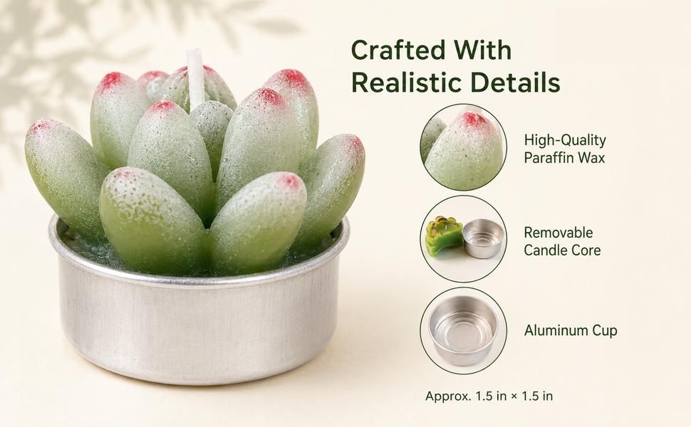 AIXIANG Succulent Tealight Candles in Kraft Gift Box · 6 Pack — product detail 3
